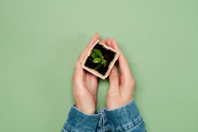 Feature Image