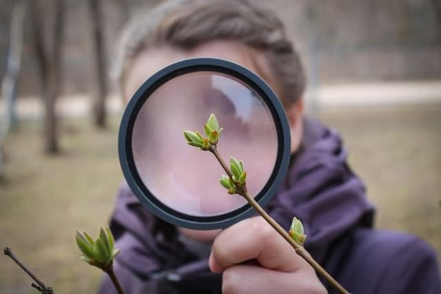 Feature Image