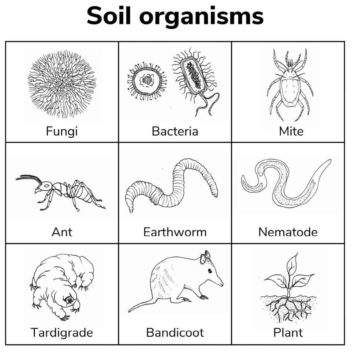 Sample Worksheet