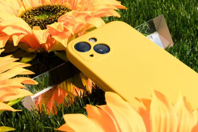 Feature Image