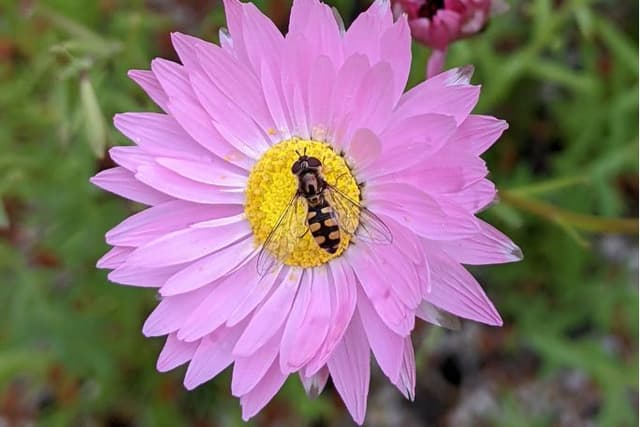 Feature Image