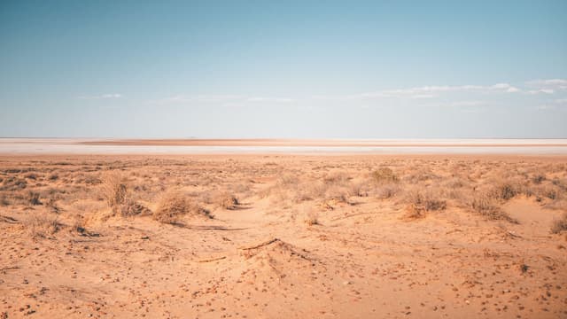 Feature Image