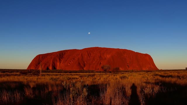 Feature Image