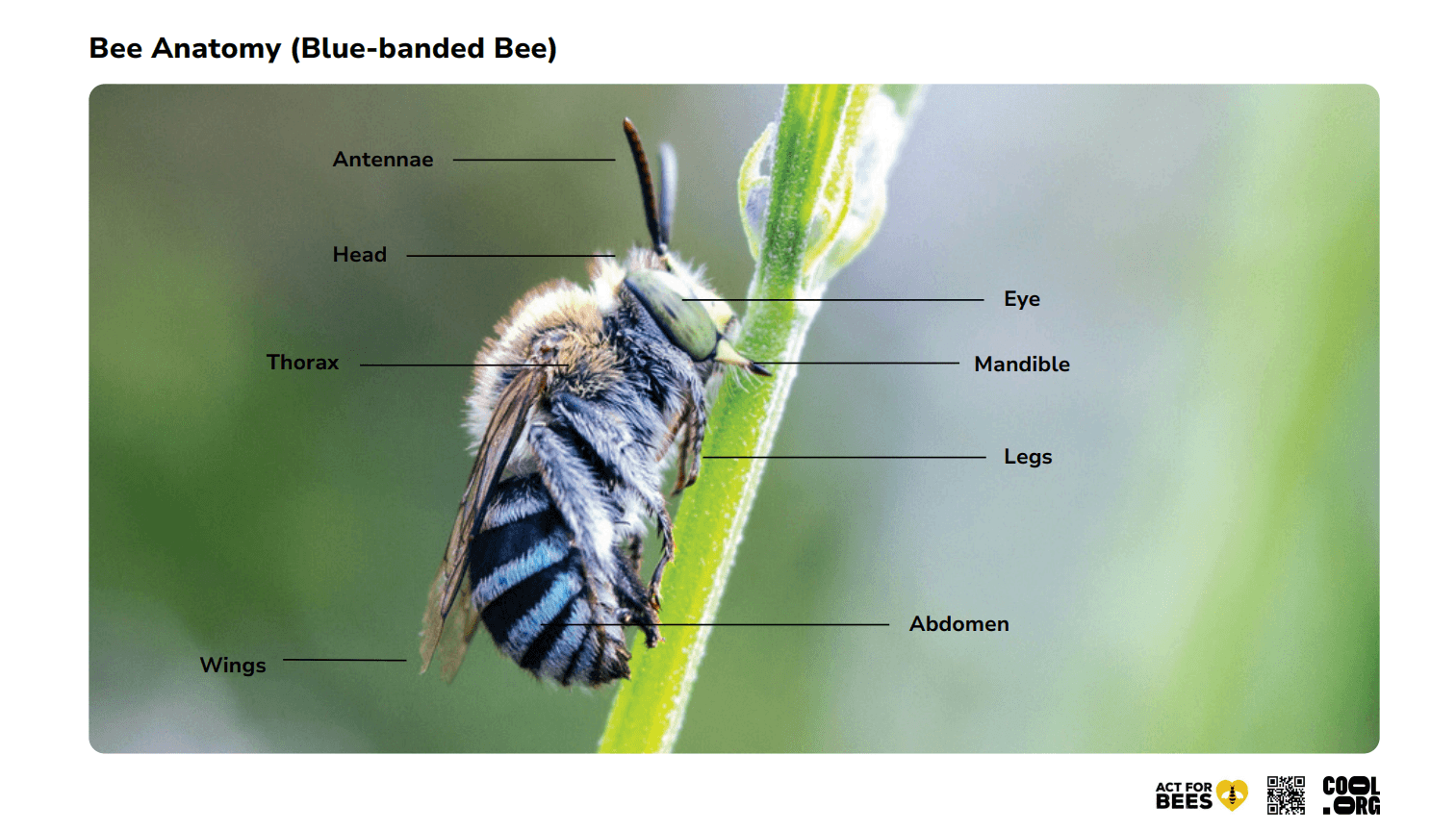 Sample Worksheet