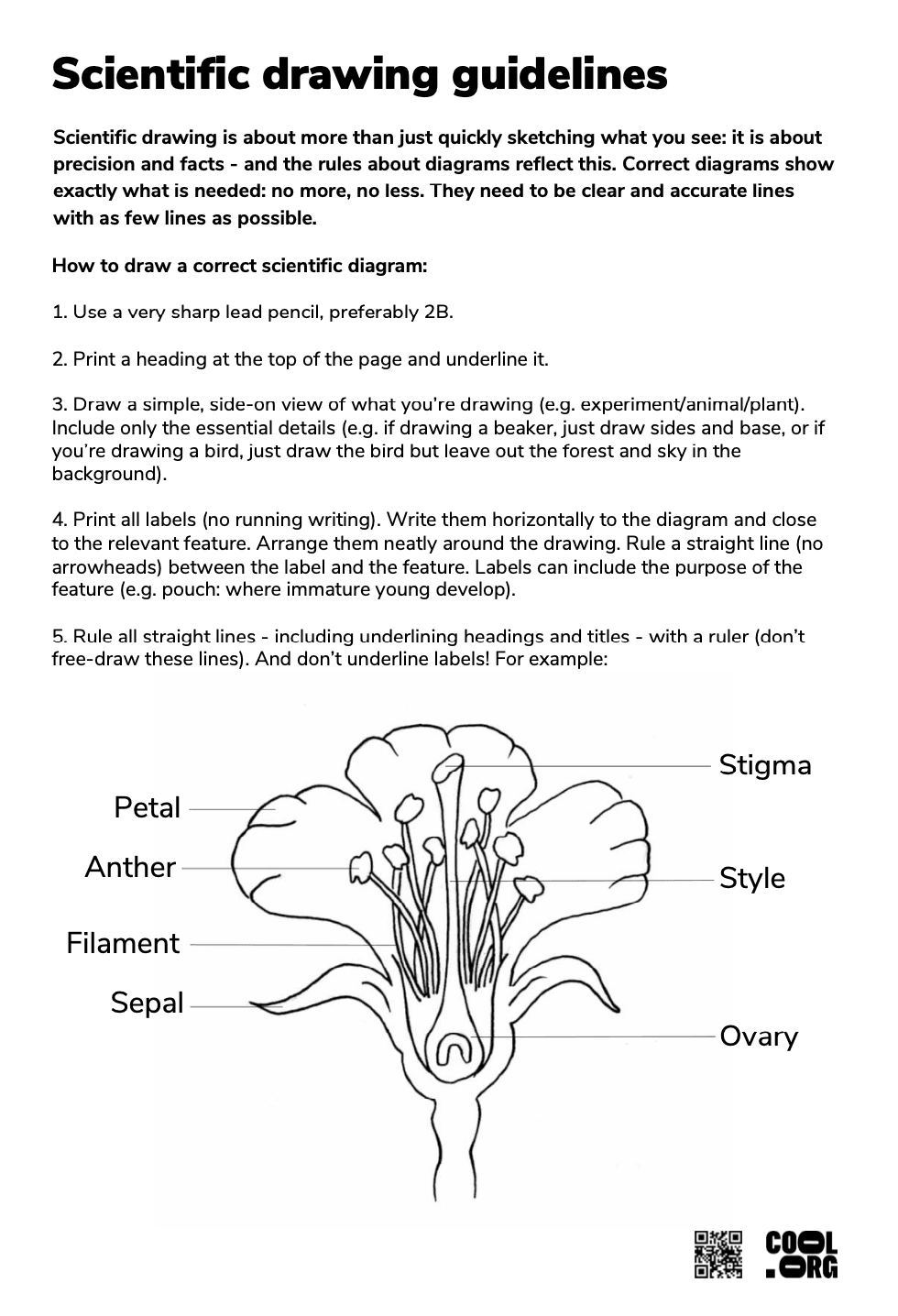 Sample Worksheet