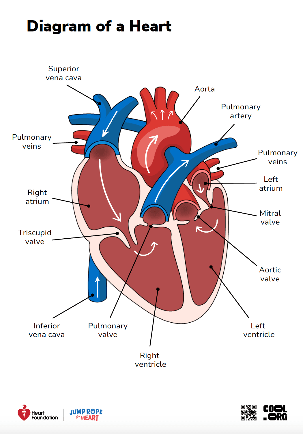 Sample Worksheet