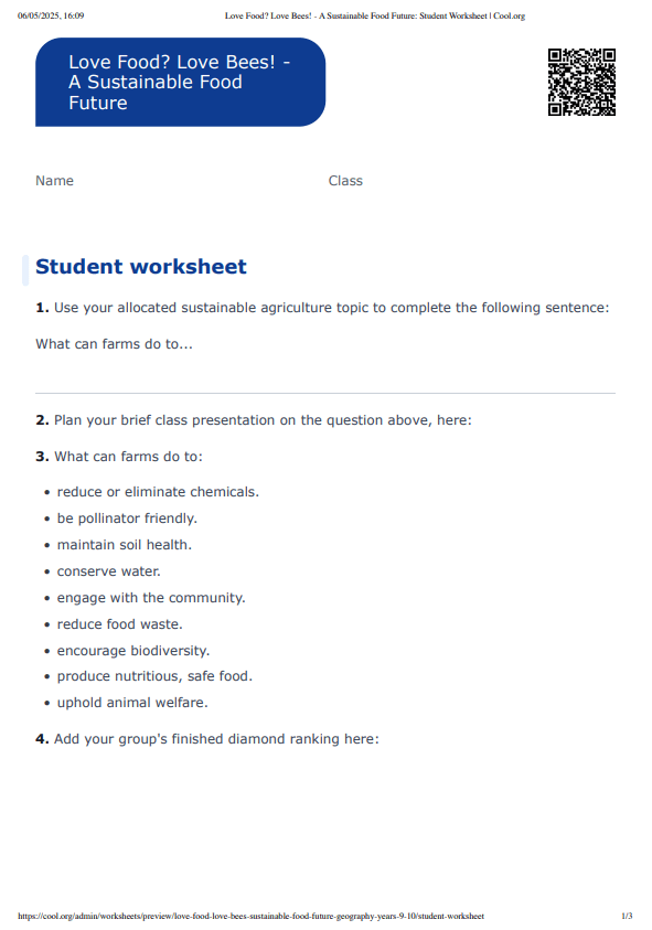 Sample Worksheet