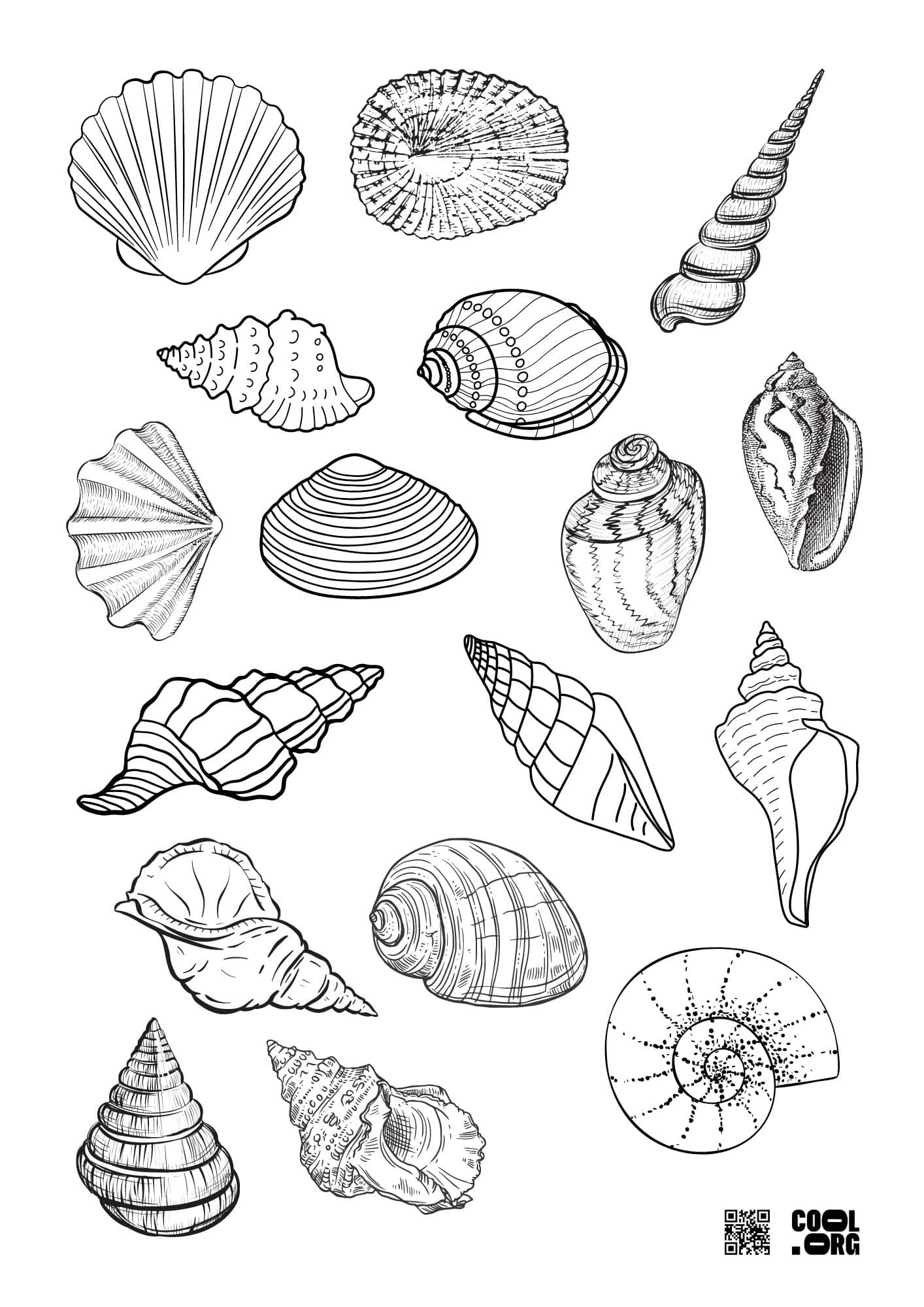 Sample Worksheet