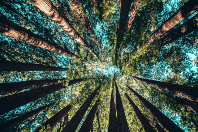 Feature Image