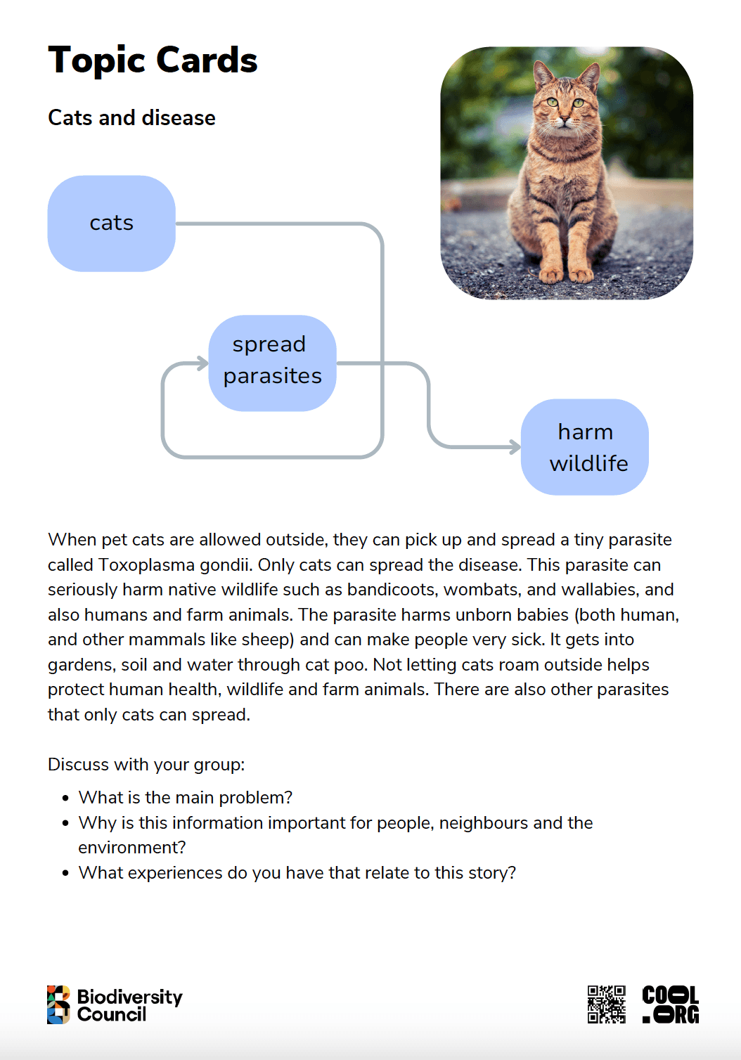 Sample Worksheet