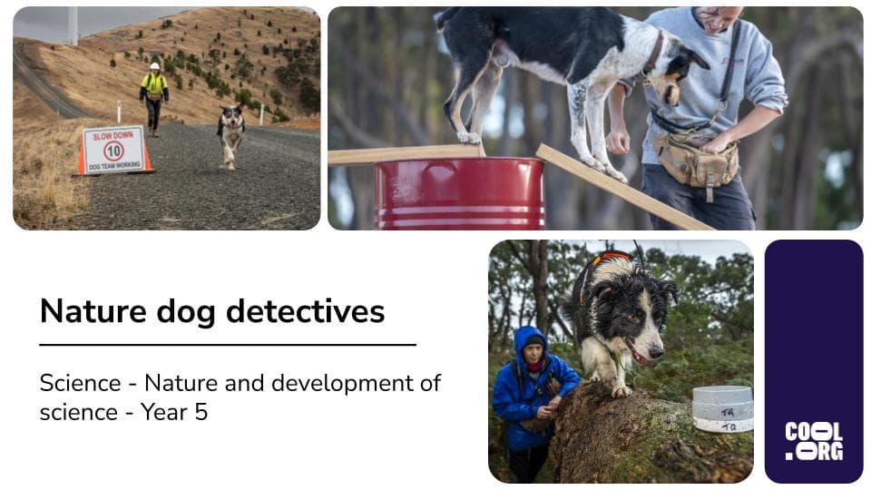 Slide 1
