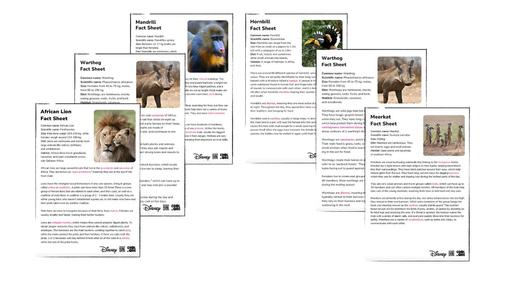 Sample Worksheet