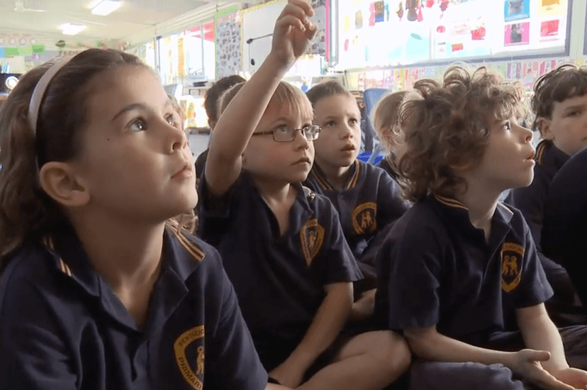 Understanding sustainability and the curriculum