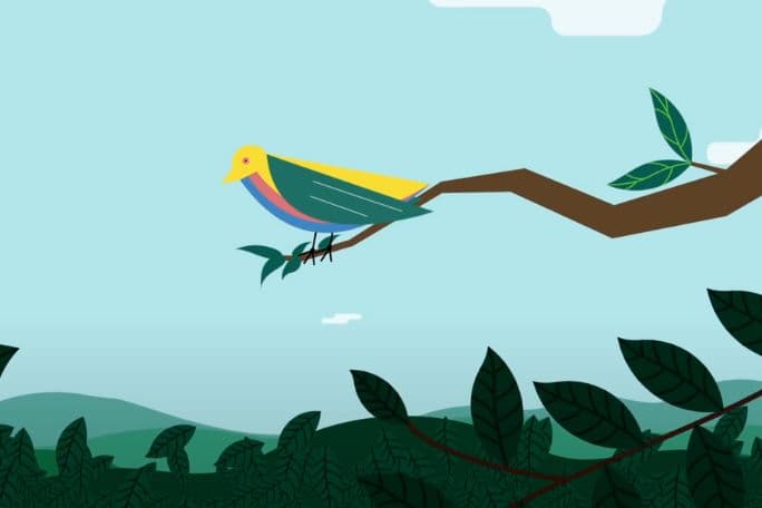 Animals And Climate Change