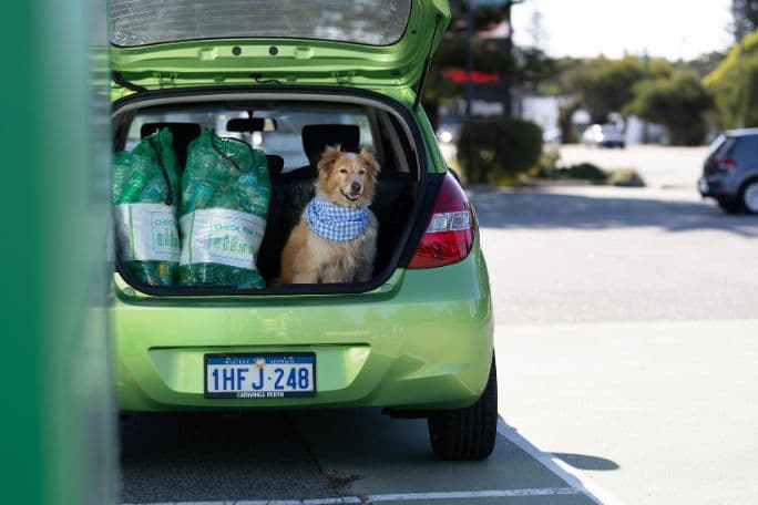 Enrich your teaching