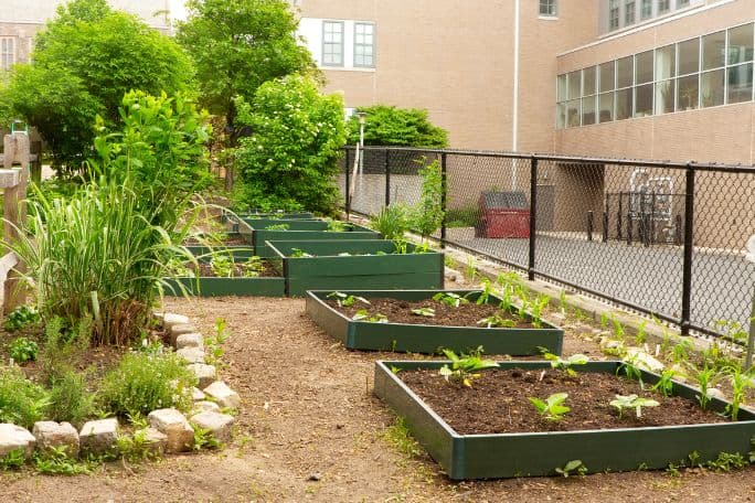 Seeds of Connection: Biodiversity, Culture, and Community in Schools