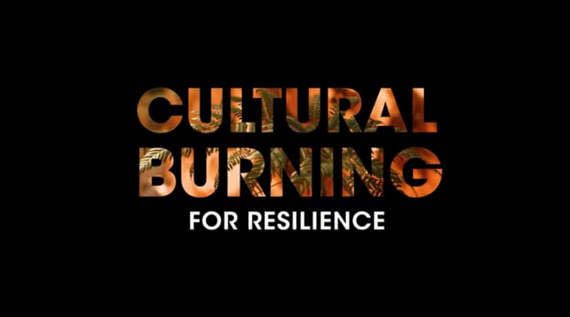 Additional Resources